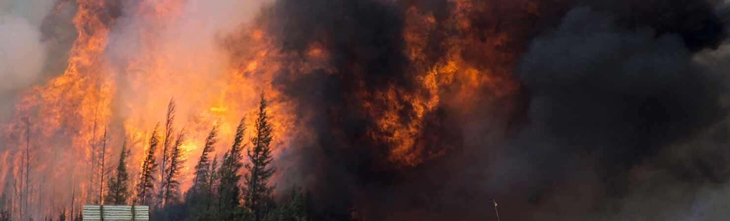 A raging wildfire consumes the forest next to Highway 63 twenty four kilometres south of Fort McMurray in May 2016. Photo courtesy Chris Schwarz/Government of Alberta.
