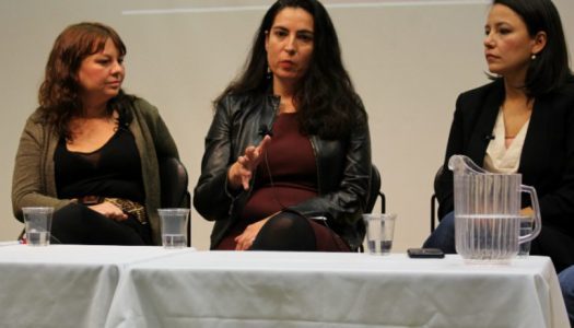 Indigenous stories are mainstream stories, say panellists