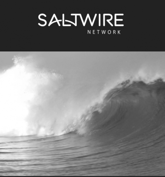 The owners of the Chronicle Herald formed a new ownership group called SaltWire Network, derived from, “combining the essential element of Salt, which represents the sea that surrounds us, and Wire, a tool that connects and binds.” Screenshot by J-Source.