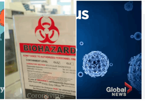 Collage of coverage from CBC, Buzzfeed News and Global