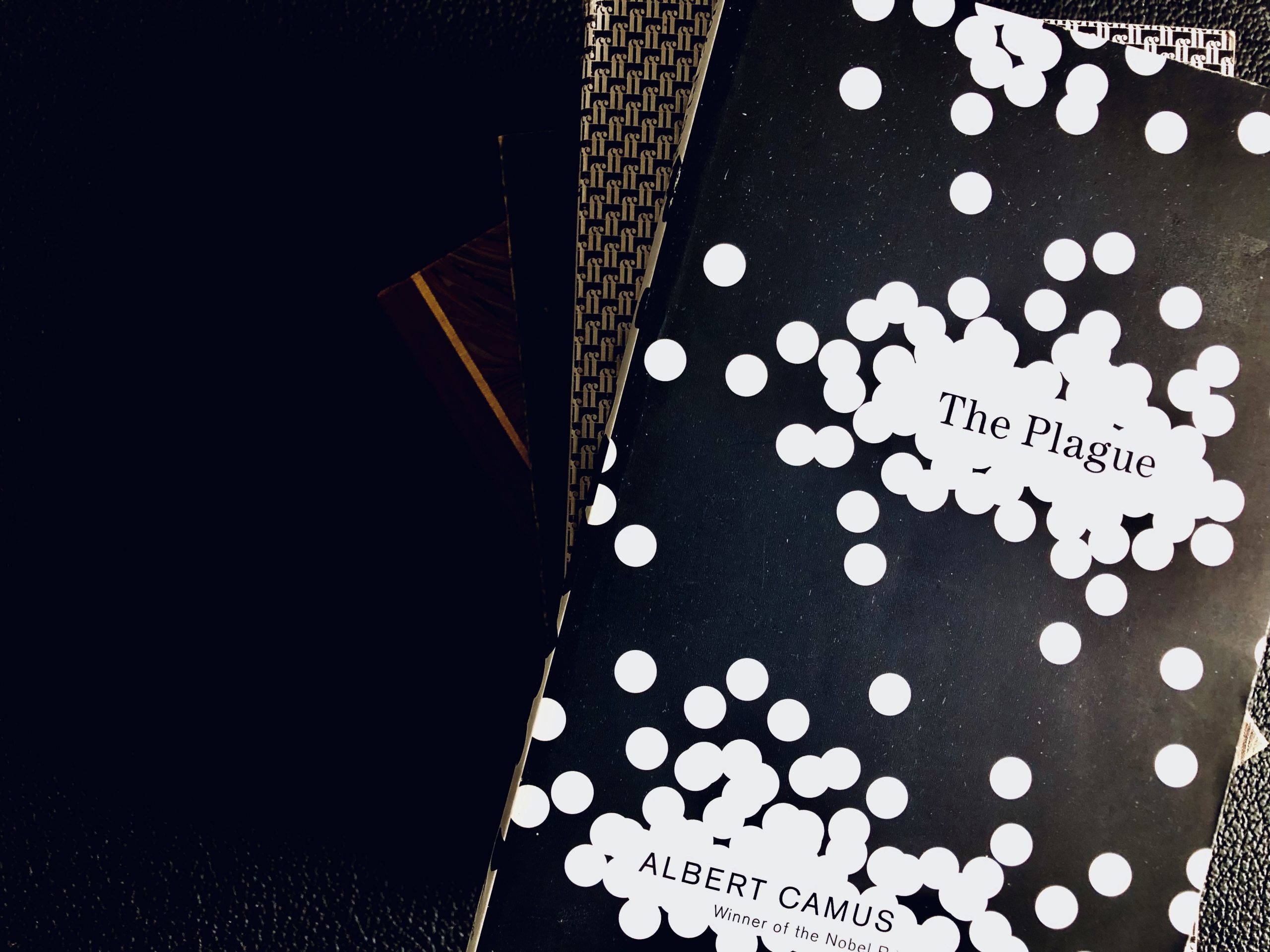 Black and white cover of the Plague by Albert Camus