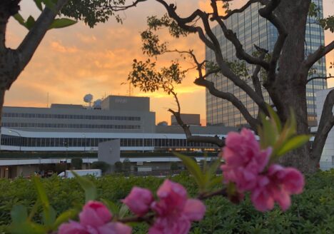 Exterior of NHK office building in Tokyo