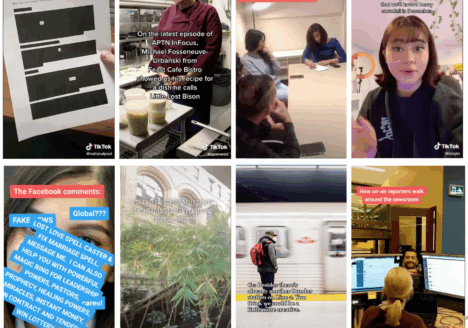 Collage of 8 TikTok screenshots from BlogTo, Global News and APTN