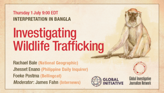 GIJN Webinar: Investigating Wildlife Trafficking