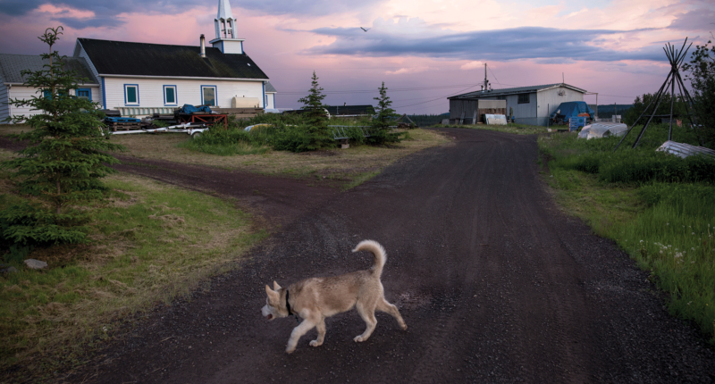 A dog walks near the Church of the Holy Family in Łutsël K’é, Northwest Territories. The church was built near the present day settlement in the 1930’s and moved to its current location at the tip of the peninsula—one of the tallest and most recognizable structures in the community.