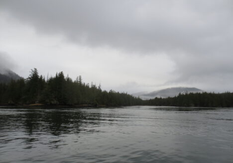 The north end of Lelu Island in Winter, as seen from the approach to Port Edward, B.C., where the LNG export facility was proposed for