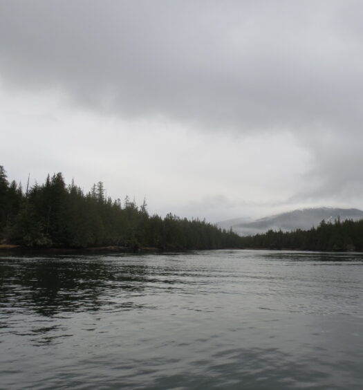 The north end of Lelu Island in Winter, as seen from the approach to Port Edward, B.C., where the LNG export facility was proposed for