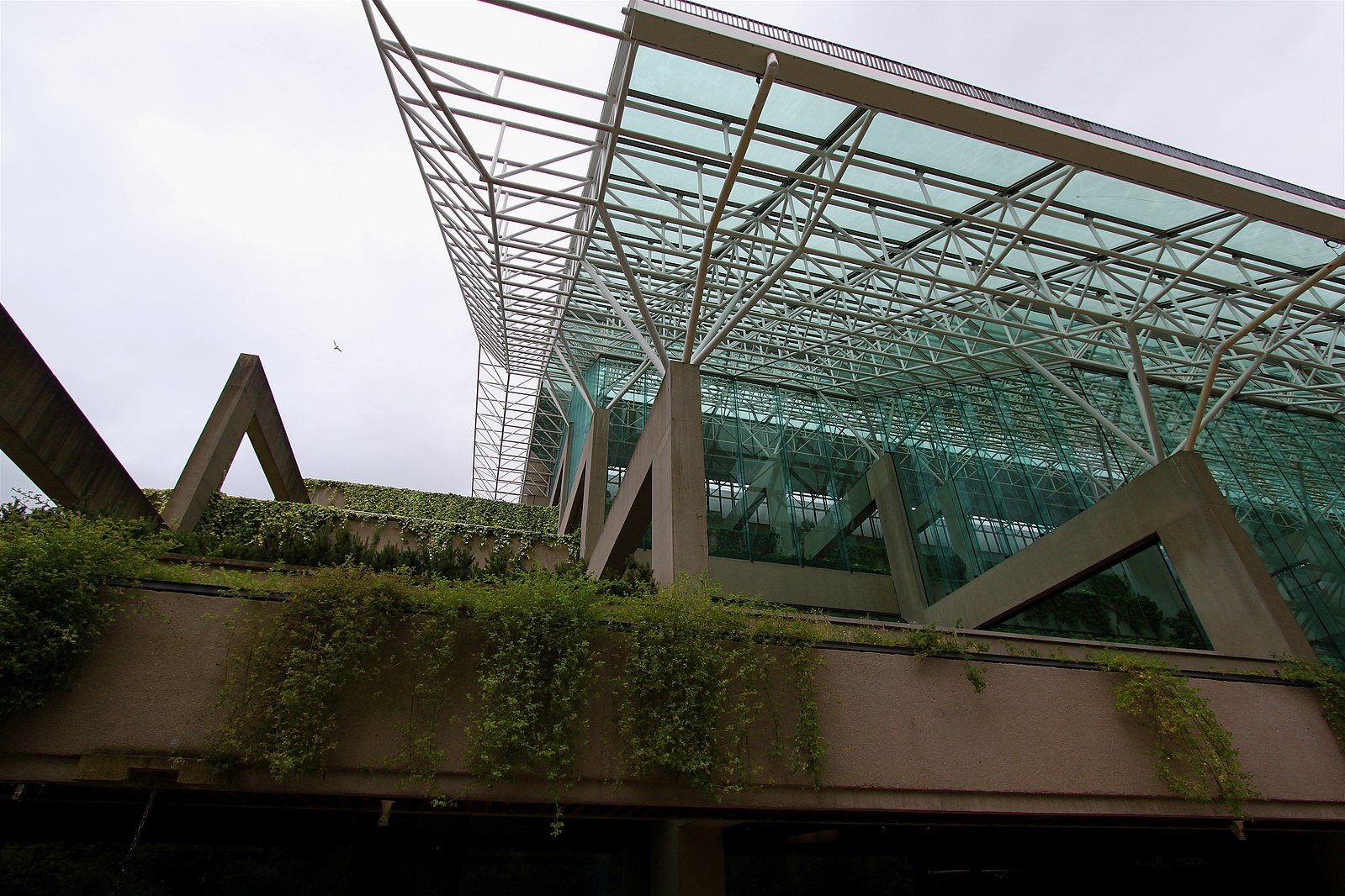Sloping green roof, BC Supreme Court Building