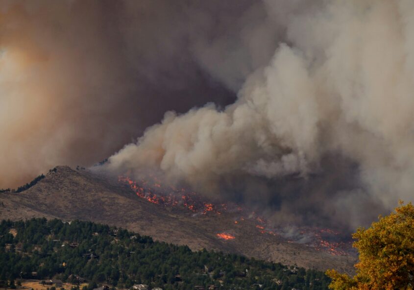 Plumes of smoke rise into the sky from a forest fire
